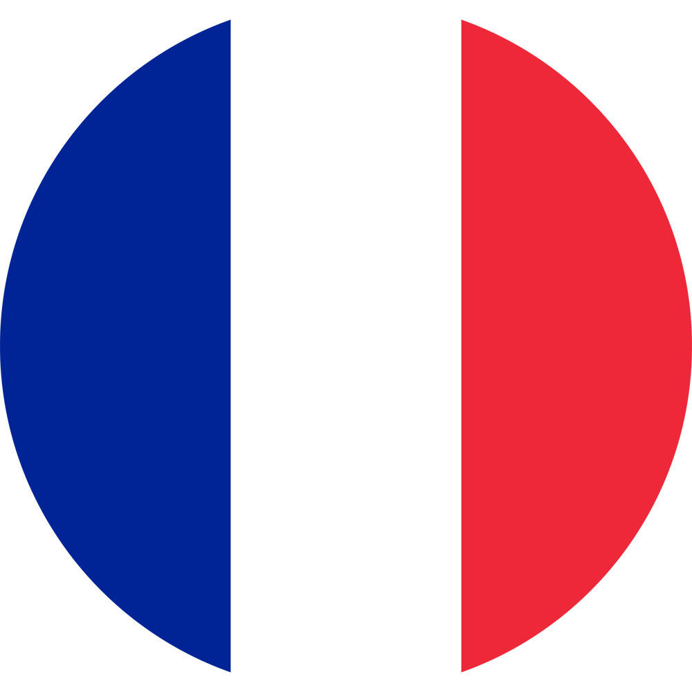 france-flag-round-medium